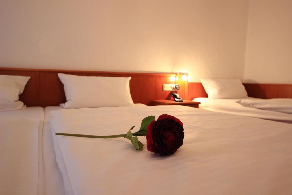 Altstadthotel Фюрт Экстерьер фото